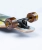 Arbor Performance longboard Flagship Dropcruiser 38