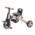 Micro Tricycle