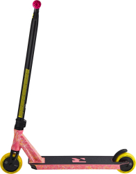 Root Invictus Pink-Yellow-White