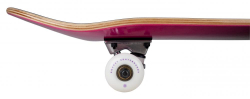 Rocket Complete Double Dipped Purple 7.75