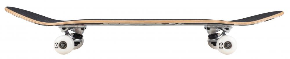 Birdhouse Complete skeitbords 7.75"