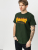 Thrasher T-shirt Flame Forest Green