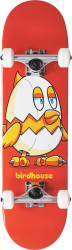 Birdhouse Complete skeitbords 7.38"