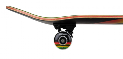 Birdhouse Complete Stage 3 Sunset Rasta 7.75
