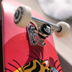 Z-Flex Street Complete Aragon Pink 7.8 skateboard