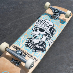 Z-Flex Street Completes Skull Natural-White 8 skateboard