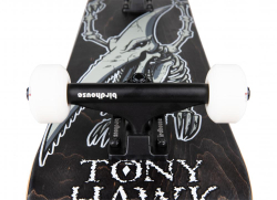 Birdhouse Complete Stage 3 Hawk Pterodactyl Black 7.5