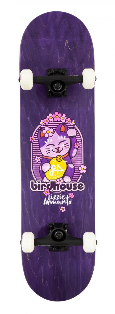 Birdhouse Complete Stage 3 skeitbords 8"
